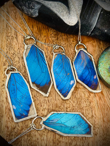 Real Blue Morpho Necklace