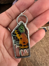 Load image into Gallery viewer, Real Sunset Moth Necklace
