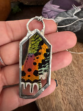 Load image into Gallery viewer, Real Sunset Moth Necklace
