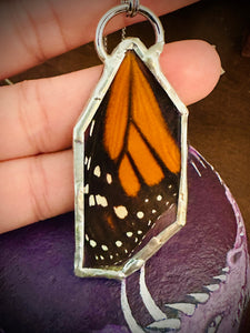 Real Monarch Butterfly Necklace