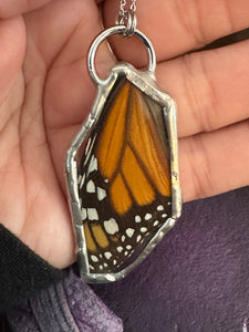 Real Monarch Butterfly Necklace